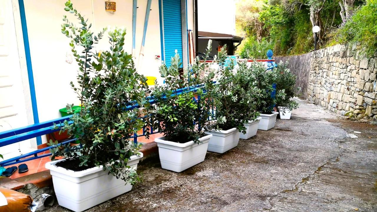 La Casa Di Aurelio Apartment Capo d'Orlando Luaran gambar